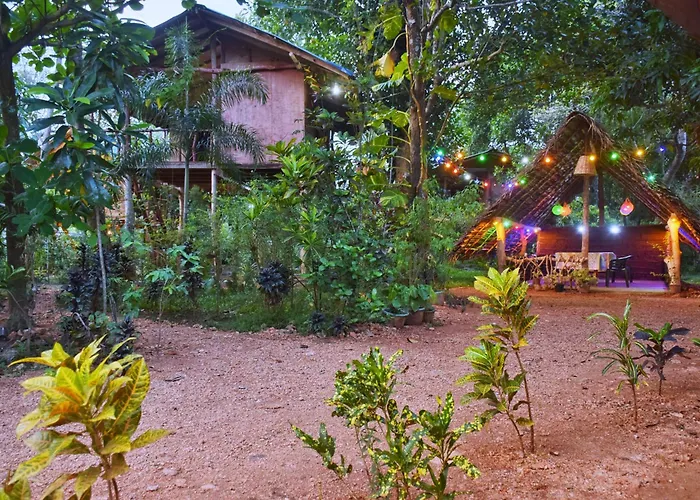 Akash Treehouse