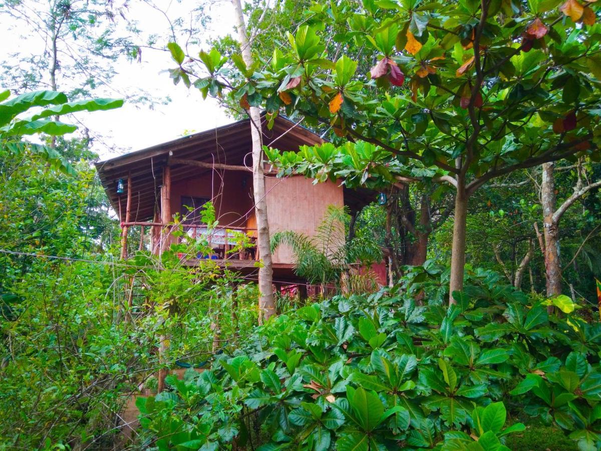 Akash Treehouse Sigiriya