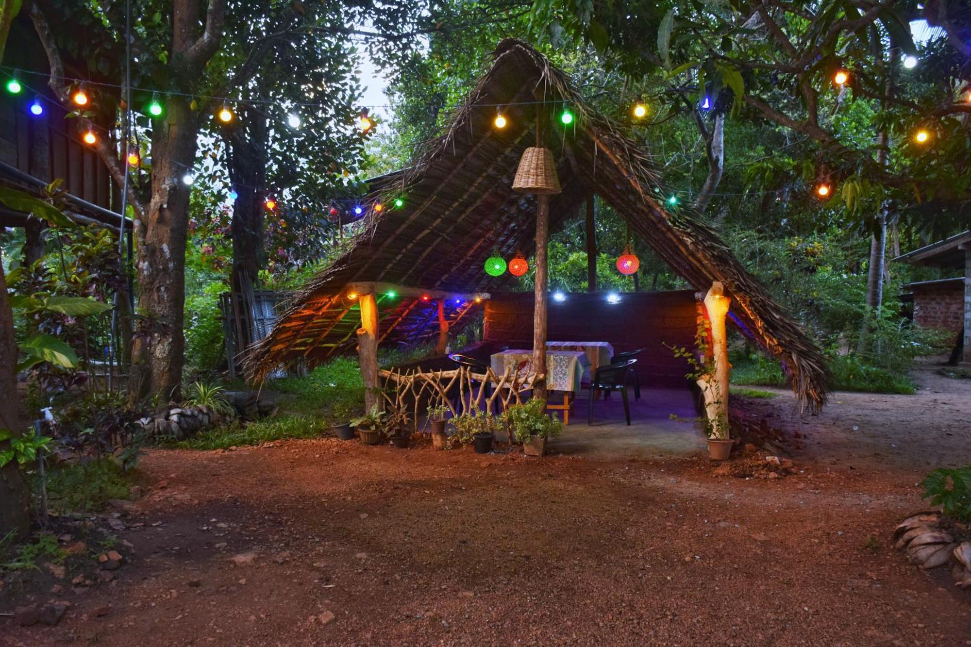Homestay Akash Treehouse