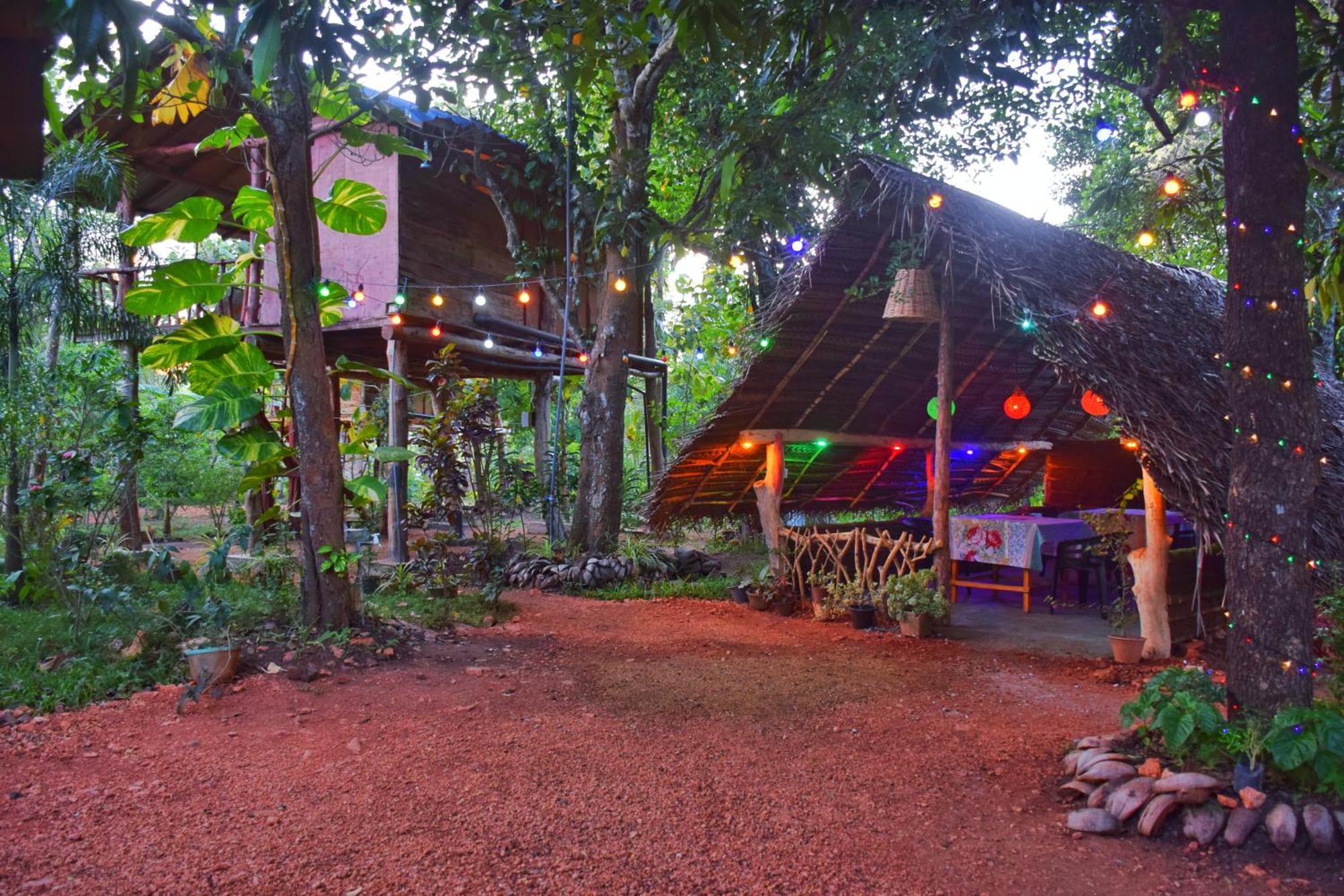 Homestay Akash Treehouse *