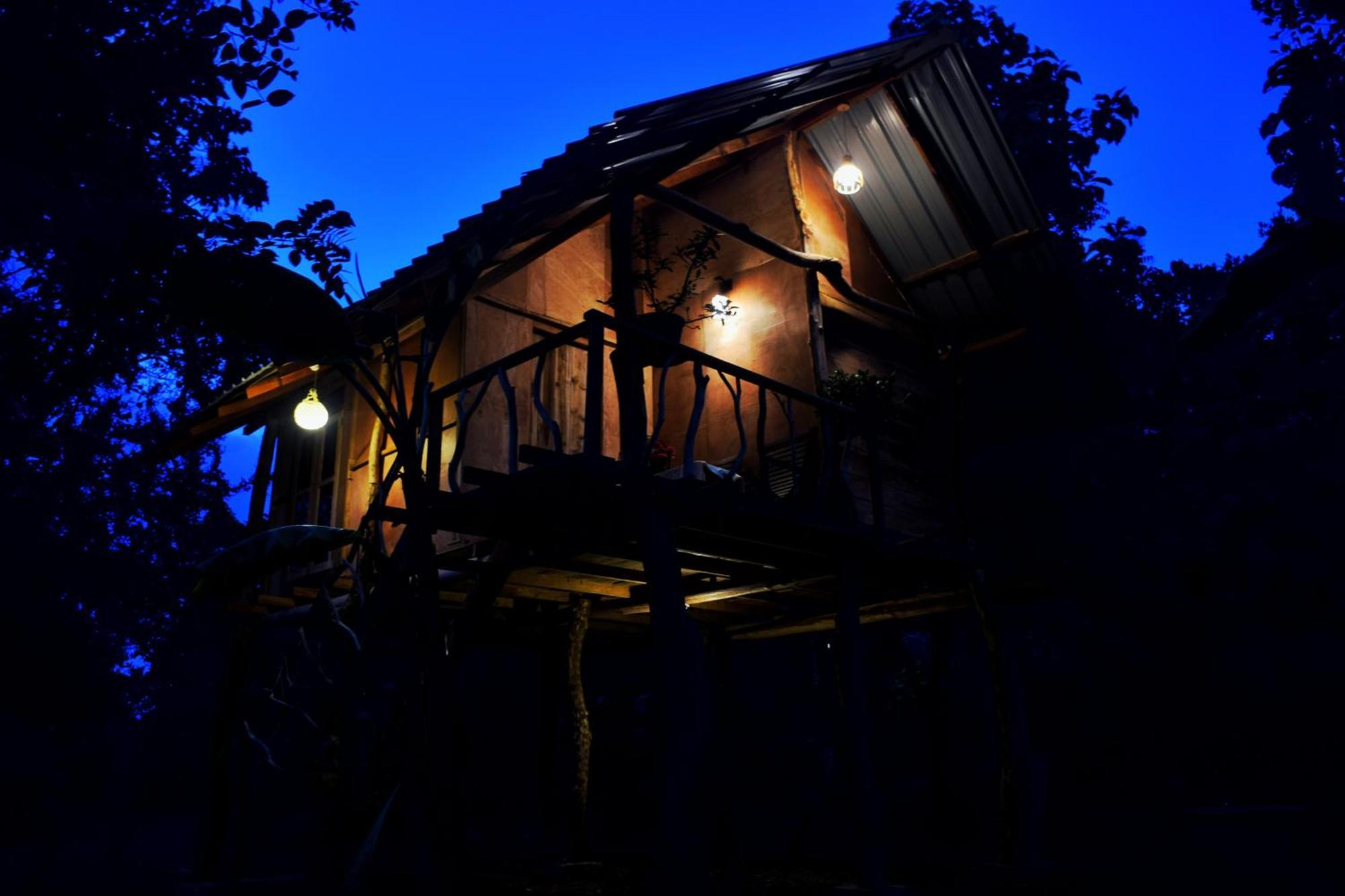 Akash Treehouse Sigiriya