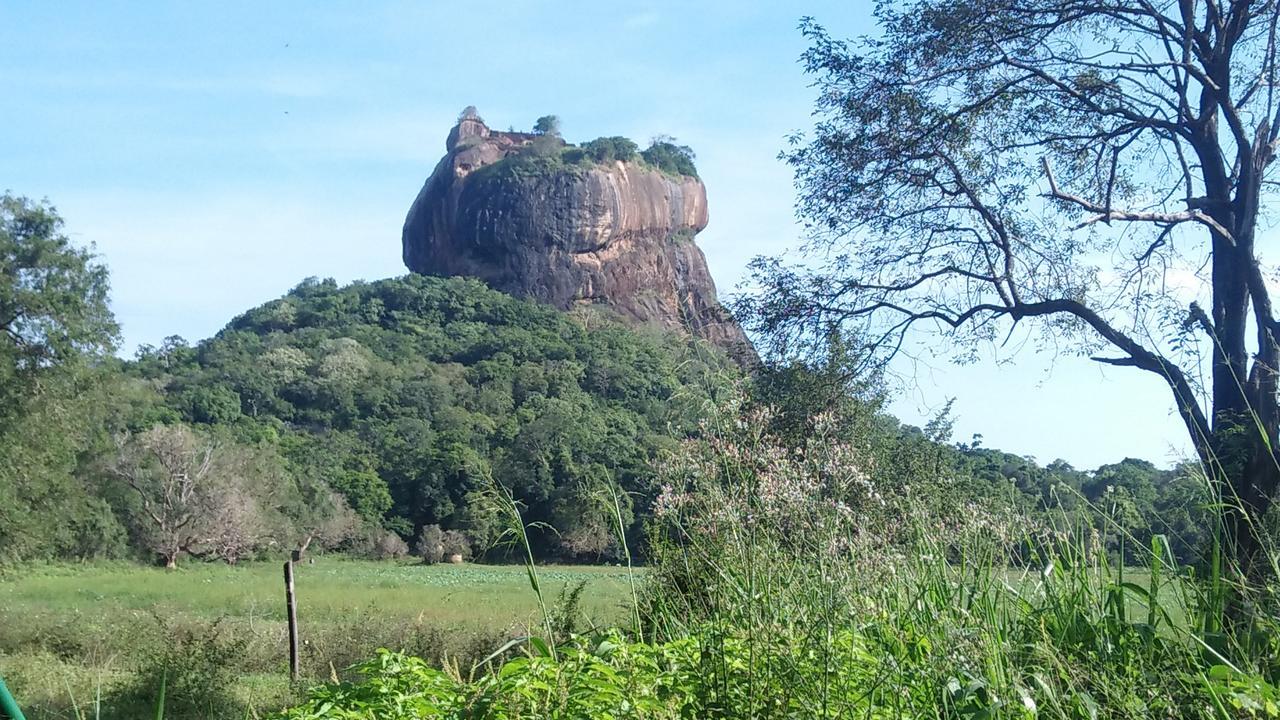 Akash Treehouse Homestay