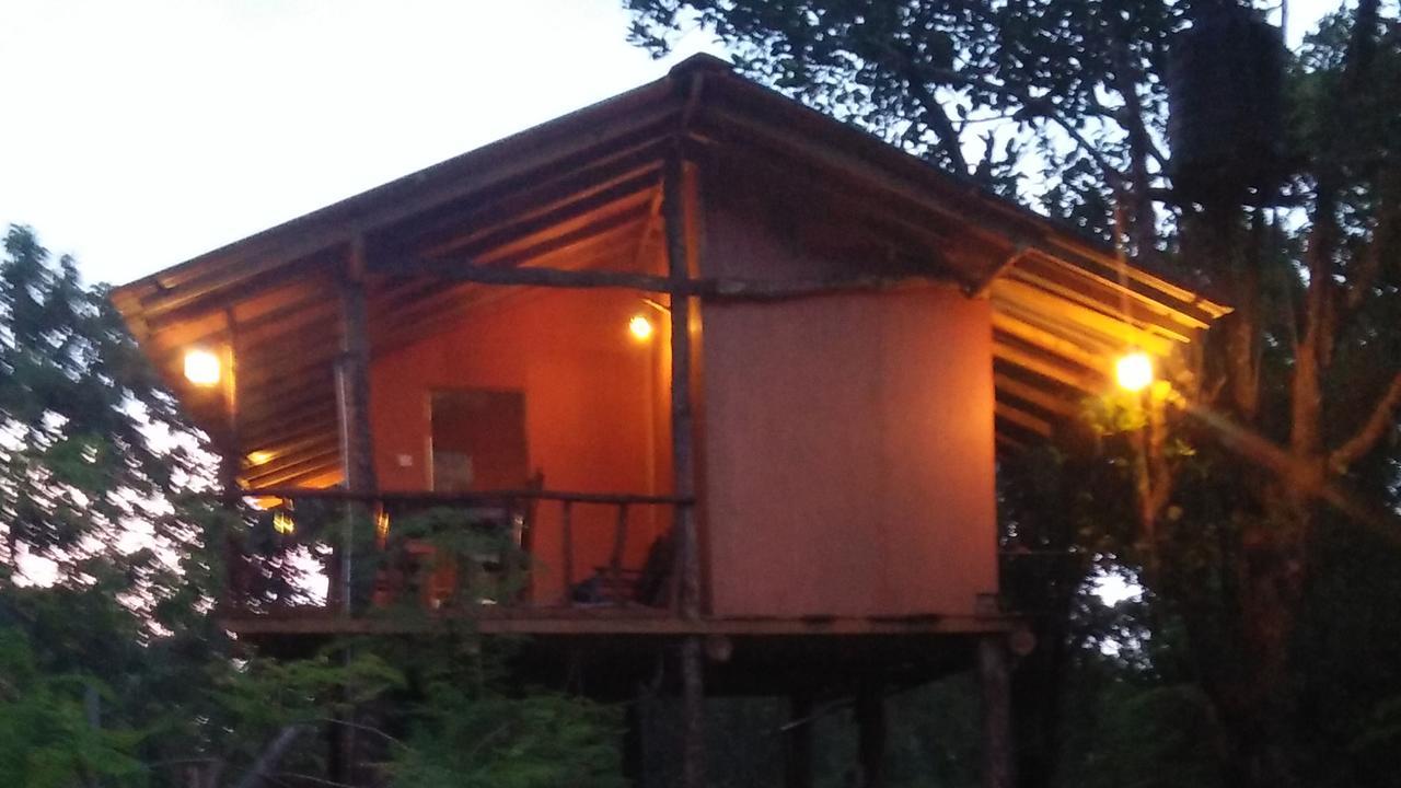 Akash Treehouse Sigiriya