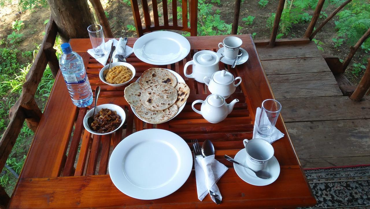 Homestay Akash Treehouse *