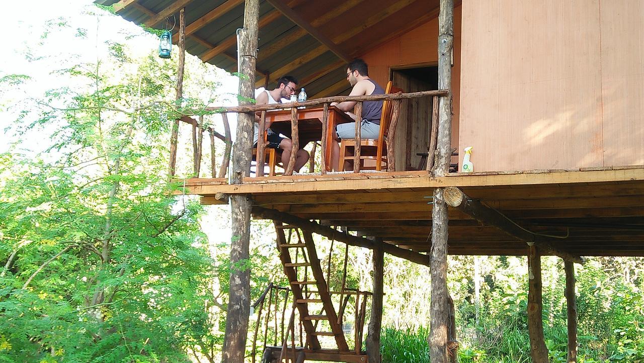 Akash Treehouse Homestay