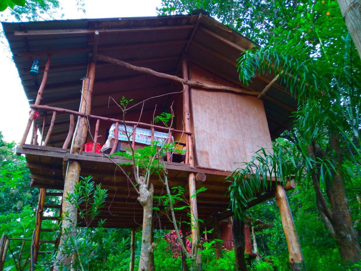 Homestay Akash Treehouse Sigiriya