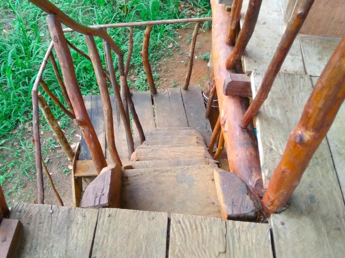 Akash Treehouse