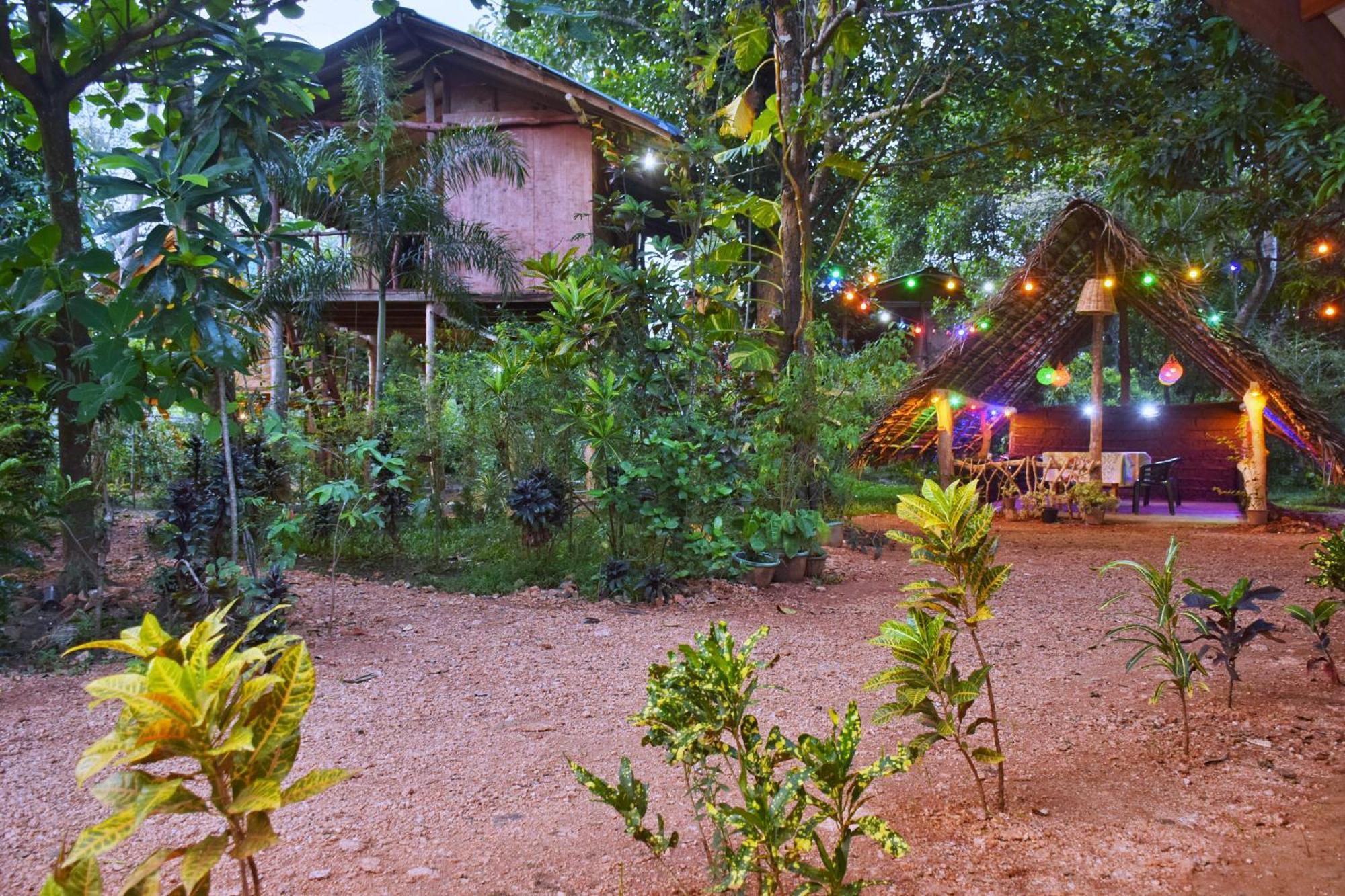 Akash Treehouse Homestay Sigiriya