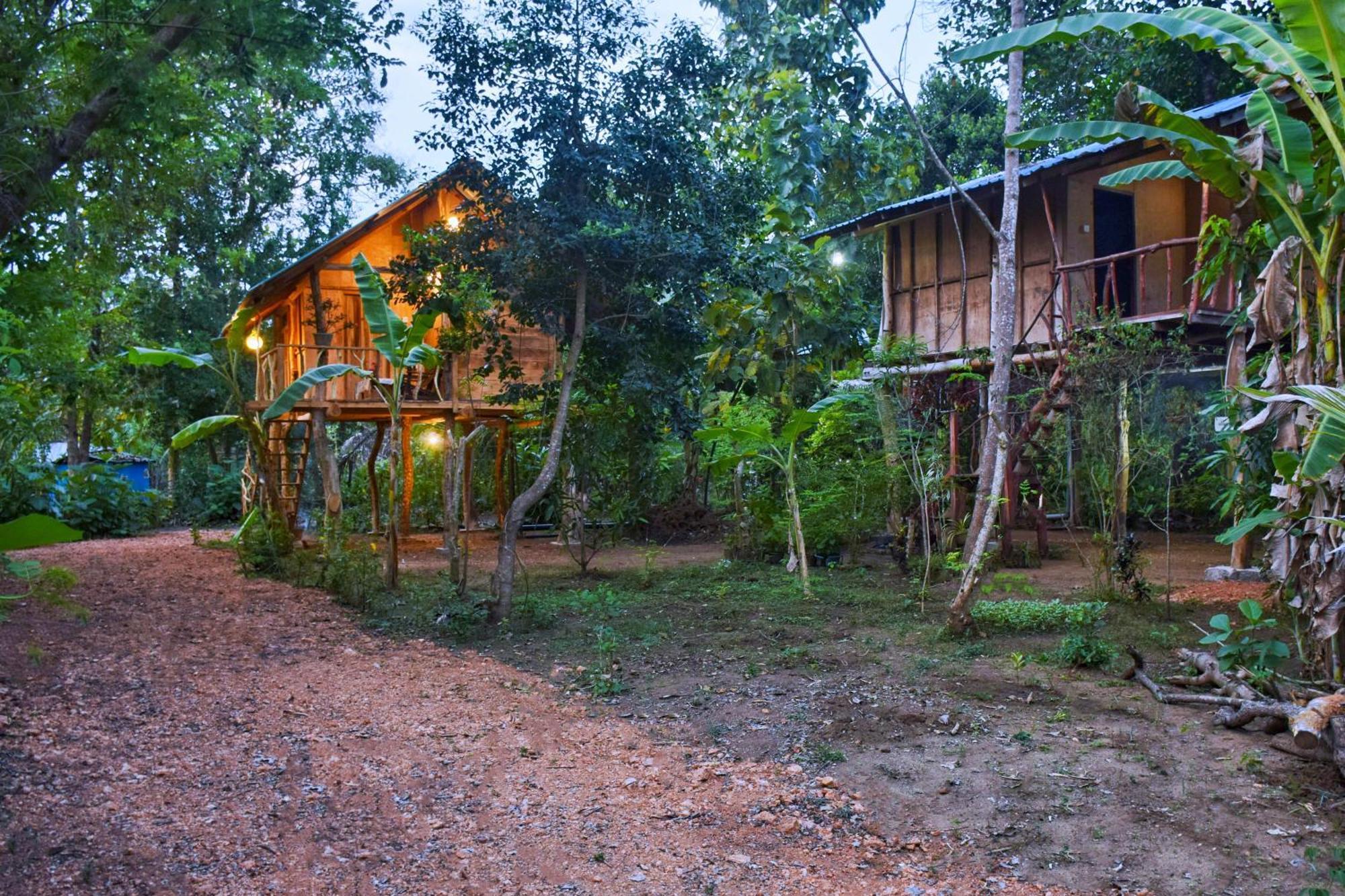 Akash Treehouse Sigiriya